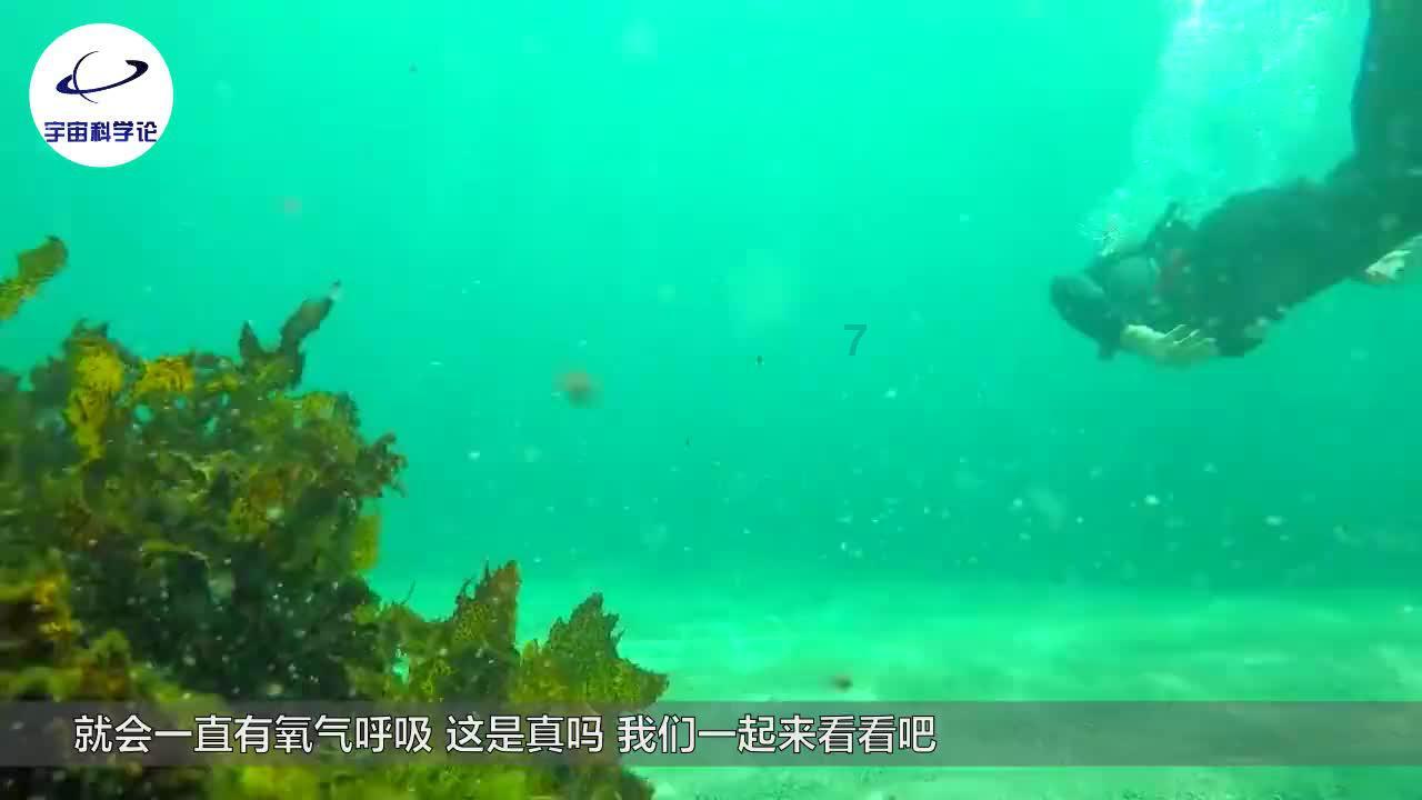 竞争奥迪Q5L，全新一代凯迪拉克XT5申报图曝光，尺寸提升